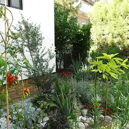 Vendégház Under The Palms Nicosia