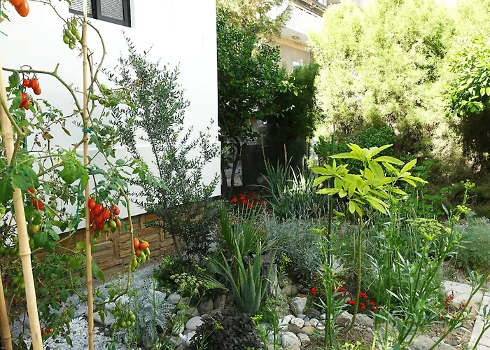 Penzion Under The Palms Nikósie